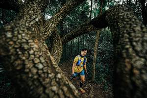 BIB: 
                            <button type="button" onclick="openModal(25393541)" class="btn btn-primary btn-sm float-right btn-popup" data-toggle="modal" data-target=".modal-high-quality">
                        <i class="fas fa-shopping-cart"></i> Add to Cart
                    </button>
                                            <button type="button" onclick="isThisMe(25393541, true)" class="btn btn-success btn-sm float-right btn-popup btn-isme hidden" data-toggle="tooltip" data-placement="bottom" title="นี่คือรูปของคุณใช่ไหม คลิกที่นี่เพื่อเอาเข้าอัลบั้ม">
                        <i class="fas fa-plus"></i> Add to album
                    </button>
                    <button type="button" onclick="isThisMe(25393541, false)" class="btn btn-warning btn-sm float-right btn-popup btn-isnotme hidden">
                        <i class="fas fa-ban"></i> Remove from album
                    </button>